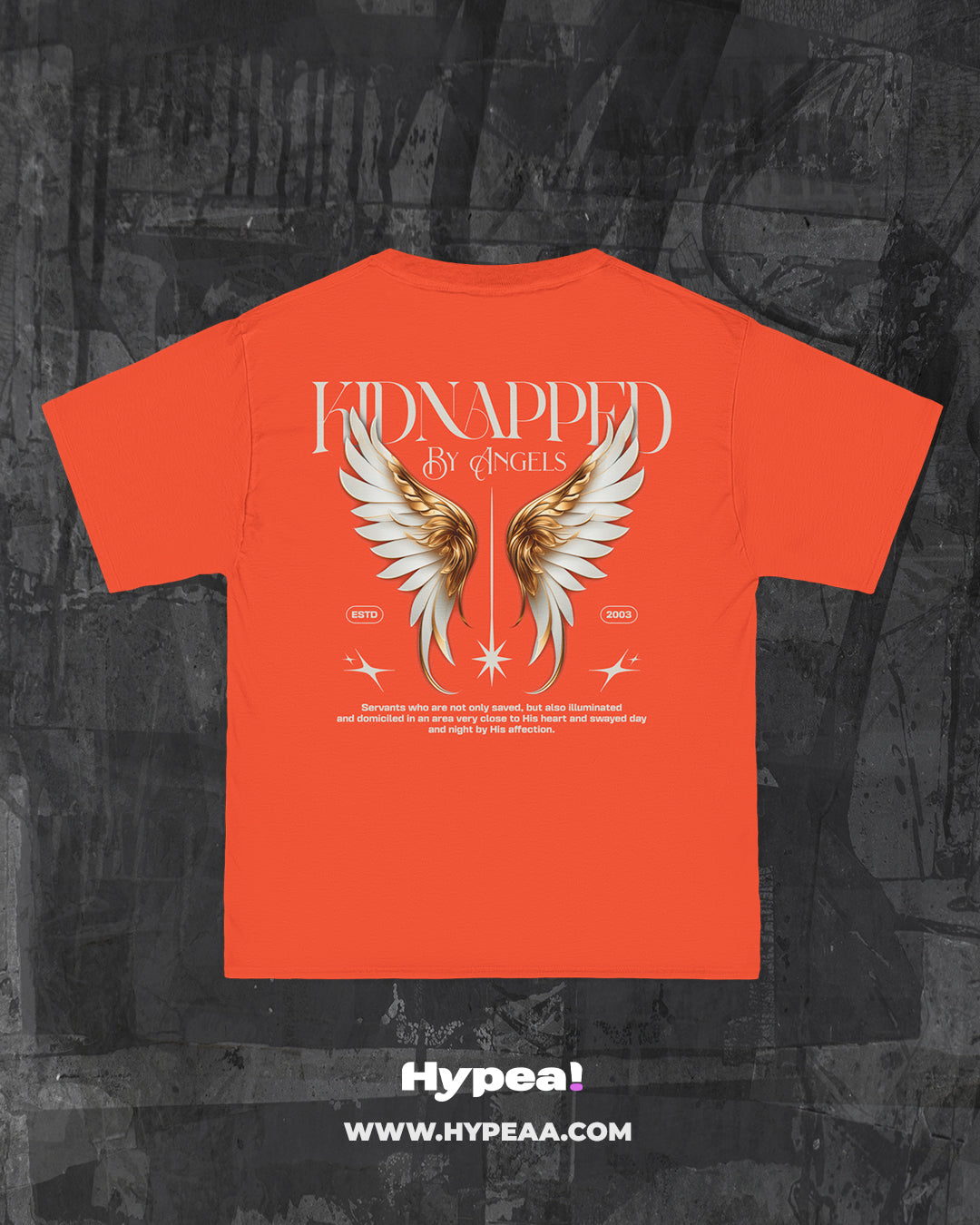 Polera oversize angels Kidnapped
